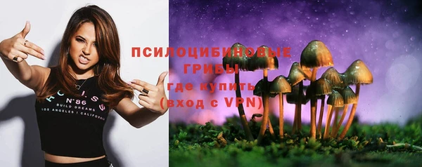 прущий лед Алексин
