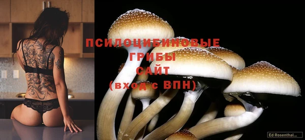 прущий лед Алексин