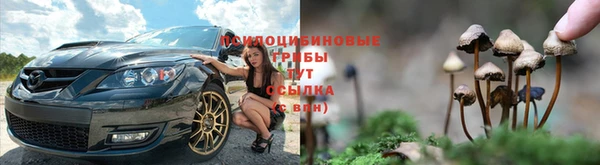 дмт Алексеевка