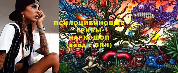 прущий лед Алексин